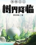 海贼王之风之降临