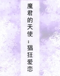 魔君的天使:猖狂爱恋小说