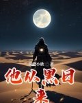 他从黑日来 小说
