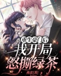 重生豪门后我开局怒撕绿茶