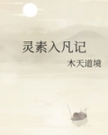 灵素入凡记