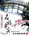 名福妻实打三个数字