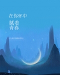 在你怀里什么歌