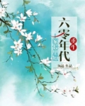 重生六零年代家长里短