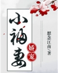 娇宠小福妻想念江南百度云