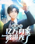 离婚后我坐拥亿万身家小说