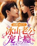 试婚365天隐婚甜妻有点甜