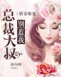 娇妻难宠：总裁大叔，别惹我