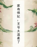 家有悍妃：王爷太温柔了