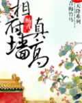 相府墙真高