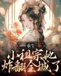 重生小祖宗她炸翻全城了