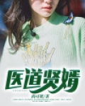 医武贤婿小说
