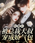 婚后深情总裁大叔太撩人全文免费阅读