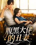 腹黑大佬追妻路小说双男主