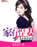 总裁追爱:家有悍妻小说