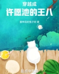 许愿池里的王八图片