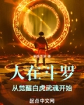 人在斗罗，从觉醒白虎武魂开始