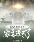 倍数系统小说