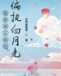 我是假正经的小说