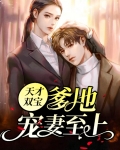 天才双宝:爹地,宠妻至上!