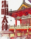 朱明太孙小说免费阅读
