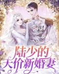 天价婚宠,陆少的暖婚甜妻