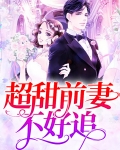 前妻不好追免费阅读
