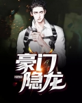 豪门龙婿电视剧