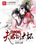 盗行天下:夫君别太坏