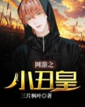 网游之小丑皇