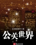 公关世界是什么级别的刊物