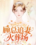 天降六宝：顾总追妻火葬场