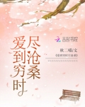 爱到穷时尽沧桑