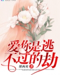 爱你是逃不过的劫免费阅读