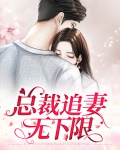 总裁追妻无度