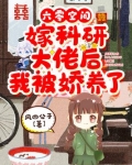 六零空间：嫁科研大佬后我被娇养了