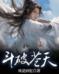 斗破苍穹 小说