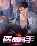 医品高手壁落小说