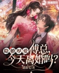 隐婚厚爱: 傅总,今天离婚吗?