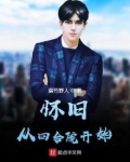 怀旧从四合院开始下载