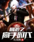 网游之高手时代