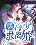 冷少宠妻无度免费阅读