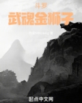 穿越斗罗武魂金乌