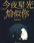小说今夜星光璀璨