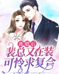 离婚后裴总又在装可怜求复合全集