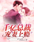 千亿总裁宠妻上瘾全文阅读免费
