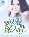 迟爱什么意思