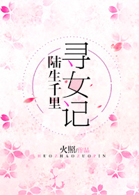 综陆生千里寻女记txt