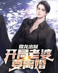 盘龙出狱:开局老婆要离婚