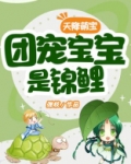 天降萌宝团宠宝宝是锦鲤百度云